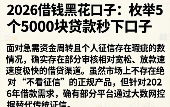 2026借钱黑花口子，枚举5个5000块贷款秒下口子