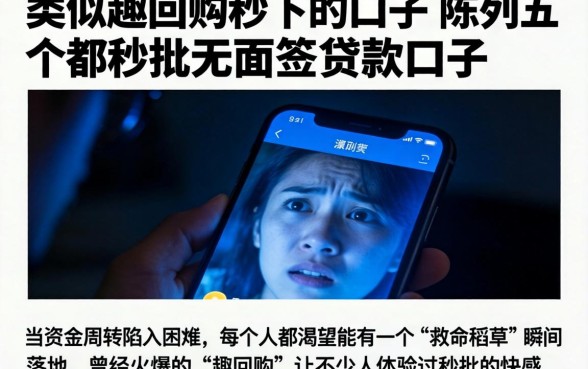 类似趣回购秒下的口子,陈列五个秒批无面签贷款口子