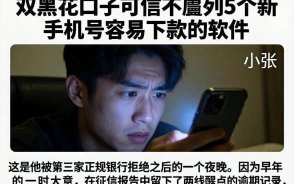 双黑花口子可信不，胪列5个新手机号容易下款的软件