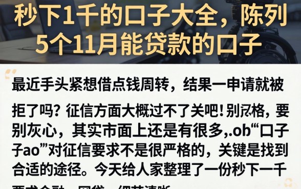 秒下1千的口子大全，陈列5个11月能贷款的口子