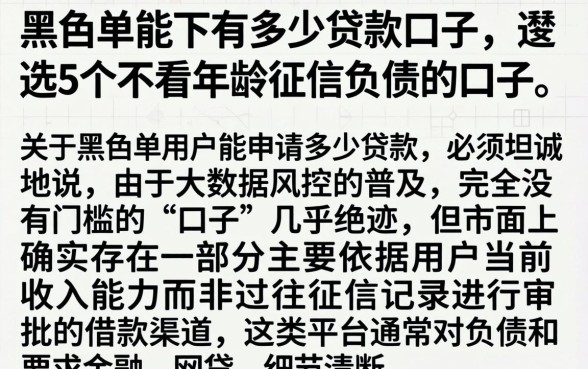 黑名单能下有多少贷款口子，遴选5个不看年龄征信负债的口子