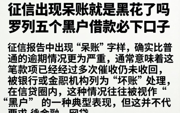 征信出现呆账就是黑花了吗，罗列五个黑户借款必下口子