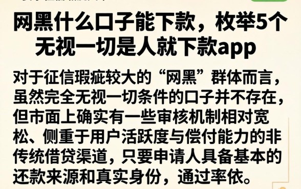网黑什么口子能下款，枚举5个无视一切是人就下款app