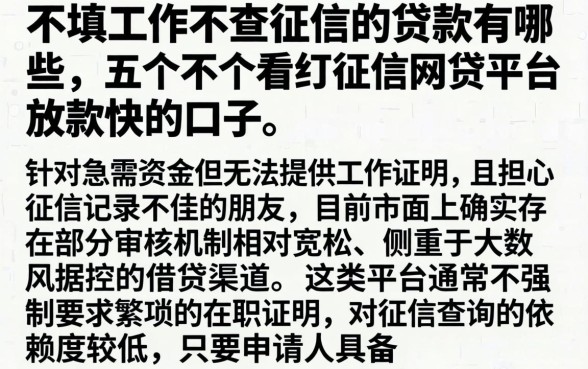 不填工作不查征信的贷款有哪些，详尽说明五个不看征信网贷平台放款快的口子