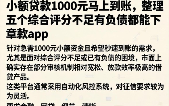 小额贷款1000元马上到账，整理五个综合评分不足有负债都能下款app