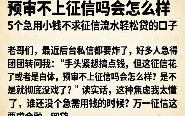 预审不上征信吗会怎么样，详尽说明5个急用小钱不求征信流水轻松贷的口子