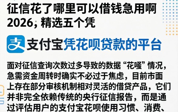 征信花了哪里可以借钱急用啊2026，精选五个凭支付宝花呗贷款的平台