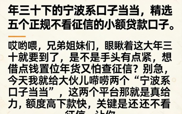 大年三十下的宁波系口子当当，精选五个正规不看征信的小额贷款口子