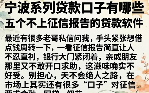 宁波系列贷款口子有哪些，细致阐述五个不上征信报告的贷款软件