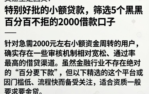 特别好批的小额贷款，筛选5个黑户百分百不拒的2000借款口子