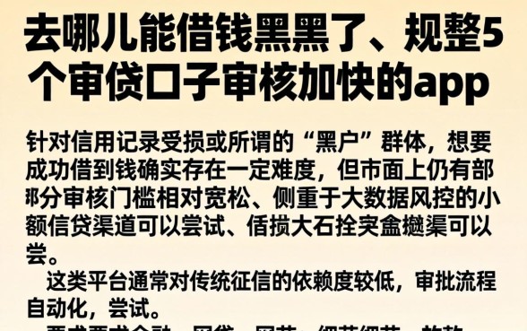 去哪里能借钱黑户了，规整5个审贷口子审核加快的app