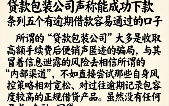 贷款包装公司声称能成功下款，条列五个有逾期借款容易通过的口子