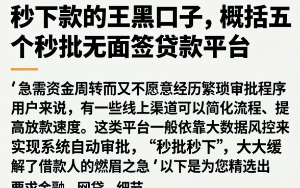 秒下款的王黑口子，概括五个秒批无面签贷款平台