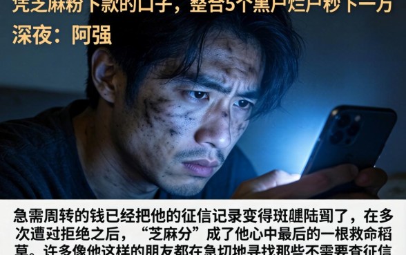 凭芝麻粉下款的口子，整合5个黑户烂户秒下一万