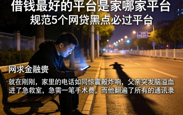 借钱最好的平台是哪家平台，规整5个网贷黑户必过平台