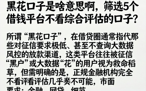 黑花口子是啥意思啊，筛选5个借钱平台不看综合评估的口子
