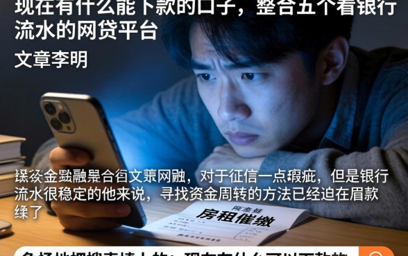 现在有什么能下款的口子，整合五个看银行流水的网贷平台