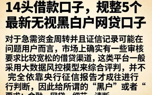 14头的借款口子，规整5个最新无视黑白户网贷口子