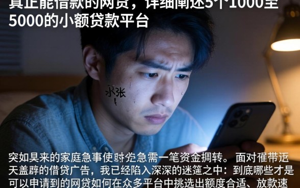 真正能借款的网贷，详细阐述5个1000至5000的小额贷款平台