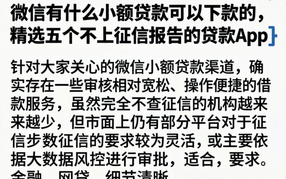 微信有什么小额贷款可以下款的，精选五个不上征信报告的贷款app
