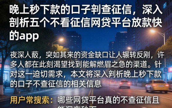 晚上秒下款的口子不查征信，深入剖析五个不看征信网贷平台放款快的app
