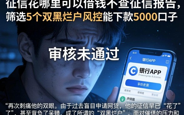 征信花哪里可以借钱不查征信报告，筛选5个双黑烂户风控能下款5000口子