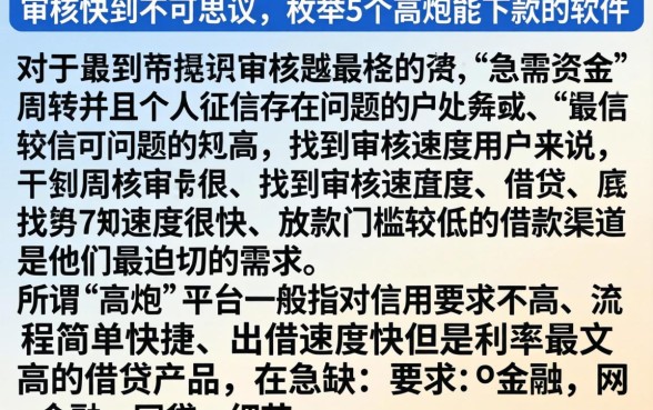 审核快到不可思议，枚举5个高炮能下款的软件