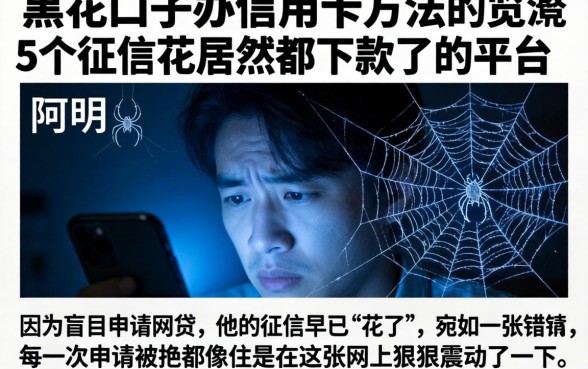 黑花口子办信用卡方法，概览5个征信花居然都下款了的平台