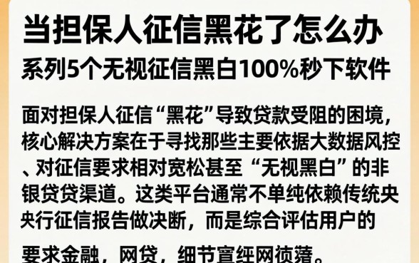 当担保人征信黑花了怎么办，条列5个无视征信黑白100%秒下软件