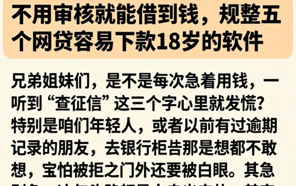 不用审核就能借到钱，规整五个网贷容易下款18岁的软件