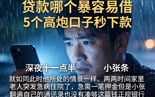 贷款哪个最容易借，详细阐述5个高炮口子秒下款