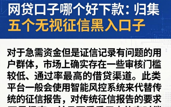 网贷口子哪个好下款，归集五个无视征信黑户口子