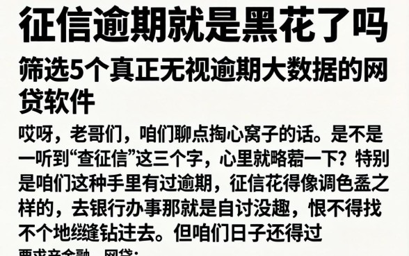 征信逾期就是黑花了吗，筛选5个真正无视逾期大数据的网贷软件