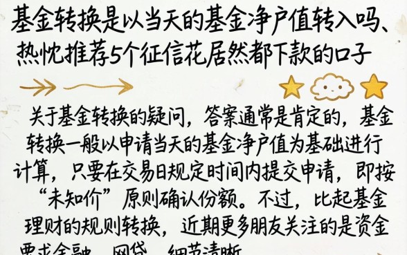 基金转换是以当天的基金净值转入吗，热忱推荐5个征信花居然都下款的口子