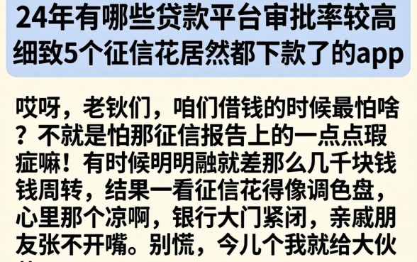 24年有哪些贷款平台审批率较高，细致阐述5个征信花居然都下款了的app