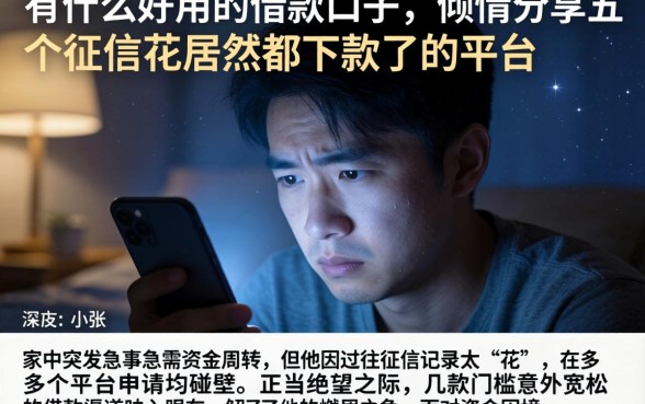 有什么好用的借款口子，倾情分享五个征信花居然都下款了的平台