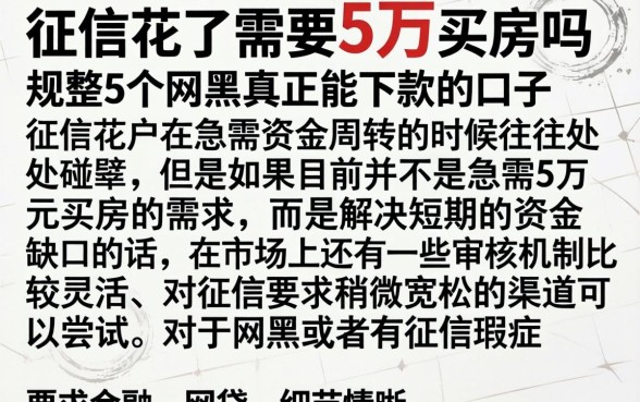 征信花了需要5万买房吗,规整5个网黑真正能下款的口子