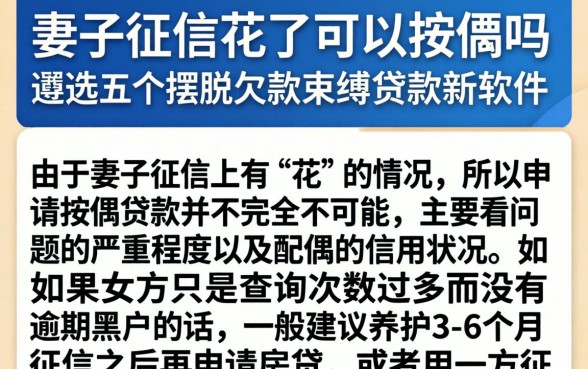妻子征信花了可以按揭吗，遴选五个摆脱欠款束缚贷款新软件