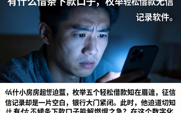 有什么借条下款口子，枚举五个轻松借款无征信记录的软件