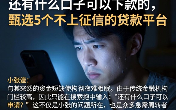 还有什么口子可以下款的，甄选5个不上征信的贷款平台