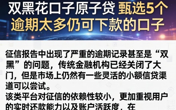 双黑花口子原子贷，甄选5个逾期太多仍可下款的口子