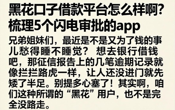 黑花口子借款平台怎么样啊，梳理5个闪电审批的app