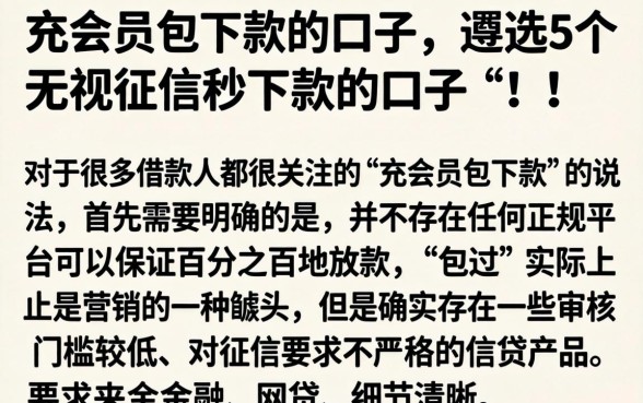 充会员包下款的口子，遴选5个无视征信秒下款的口子