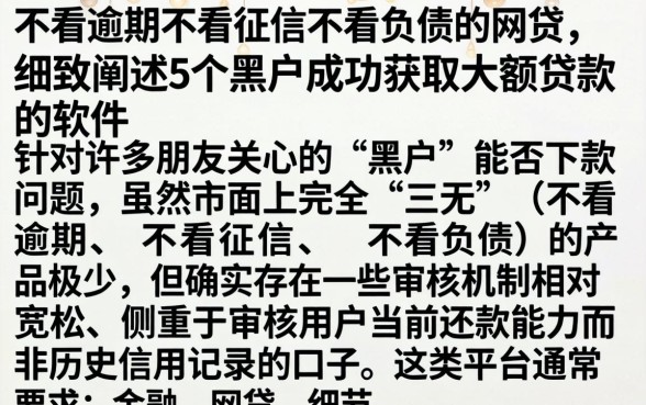 不看逾期不看征信不看负债的网贷，细致阐述5个黑户成功获取大额贷款的软件