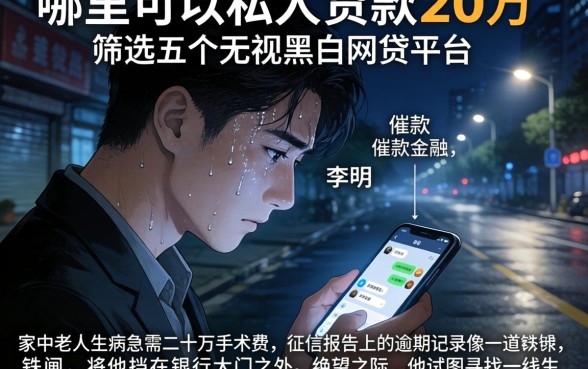 哪里可以私人贷款20万，筛选五个无视黑白的网贷平台