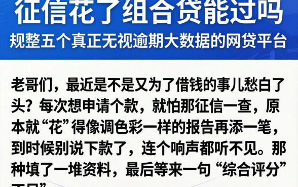 征信花了组合贷能过吗，规整五个真正无视逾期大数据的网贷平台