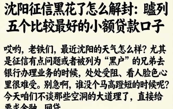 沈阳征信黑花了怎么解封，胪列五个比较好的小额贷款口子