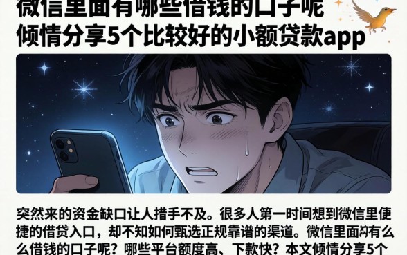 微信里面有哪些借钱的口子呢，倾情分享5个比较好的小额贷款app