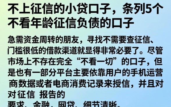 不上征信的小贷口子，条列5个不看年龄征信负债的口子