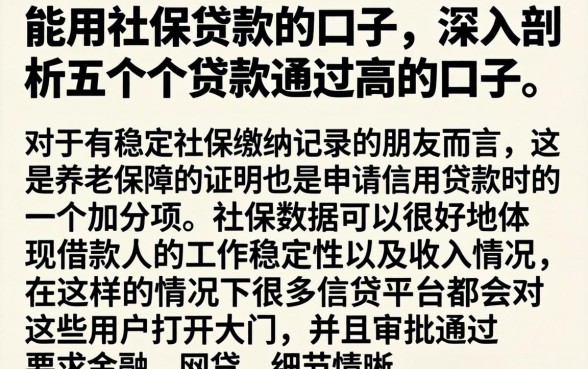 能用社保贷款的口子，深入剖析五个贷款通过高的口子